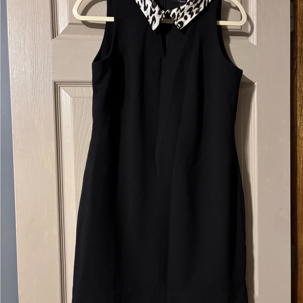 White House Black Market Sheath Dress with Peter Pan Collar